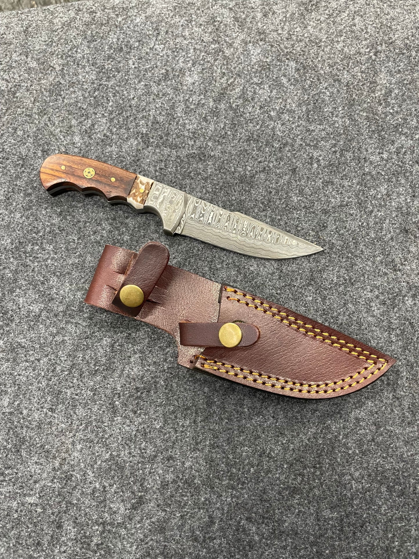 Titan Damascus Steel Fixed Blade Knife with Walnut & Stag Horn Handle Hunting Knife 4.3" blade
